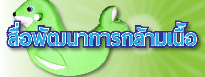 สื่อพัฒนาการกล้ามเนื้อ01